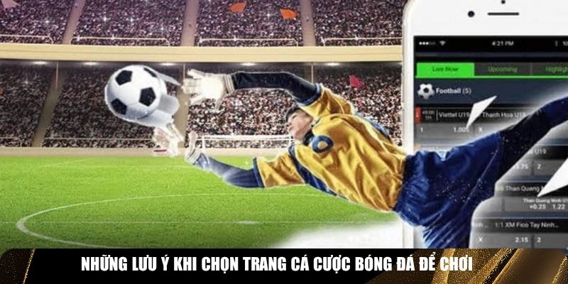 Những lưu ý khi chọn trang cá cược bóng đá để chơi