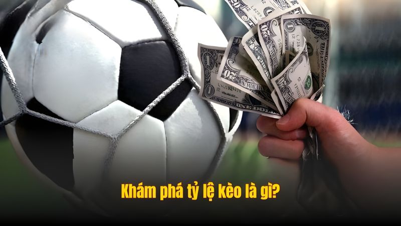 Ngoài nắm rõ tỷ lệ kèo là gì, bet thủ cần biết cách đọc kèo chuẩn xác